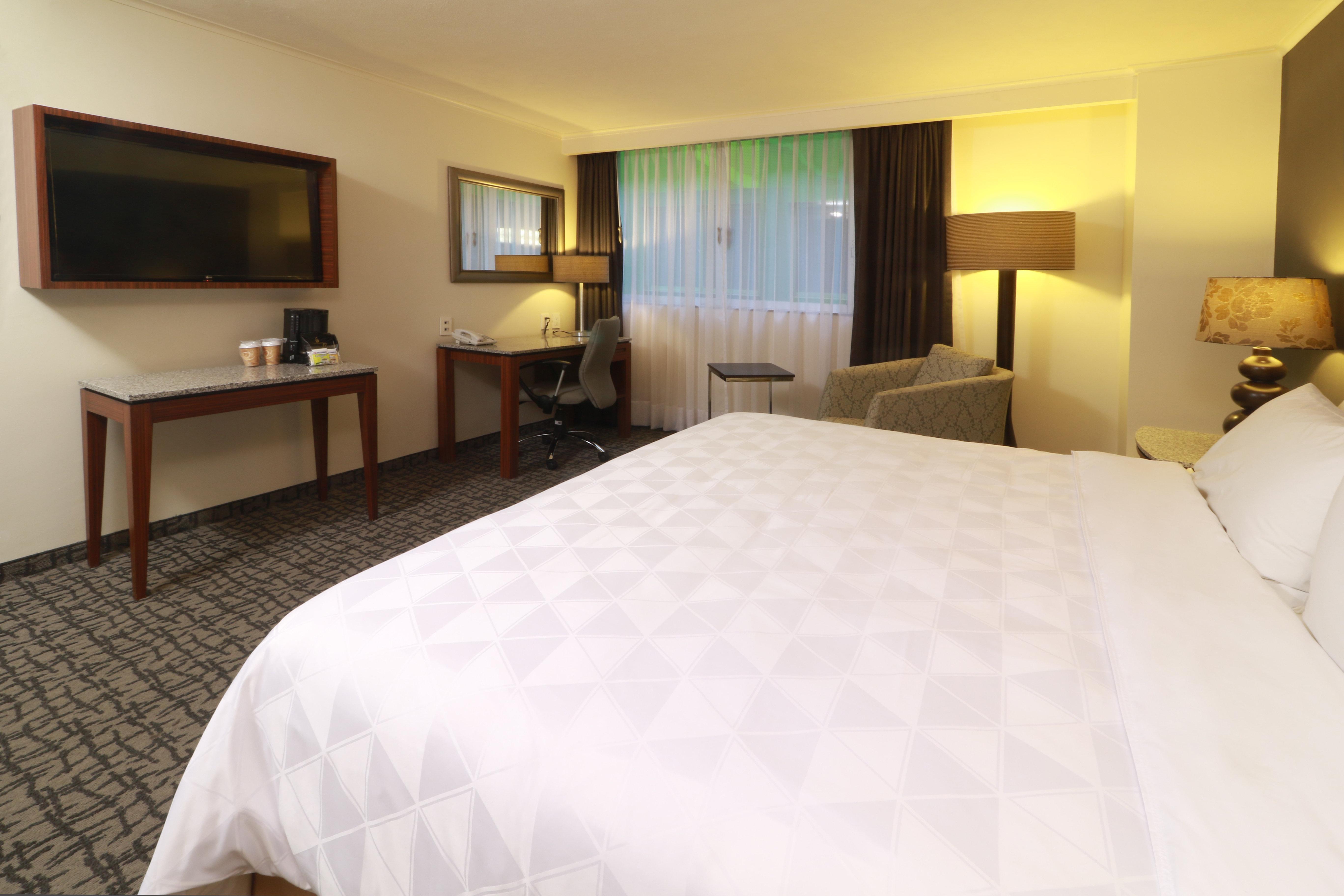 Holiday Inn Mexico City - Trade Center By Ihg Zewnętrze zdjęcie